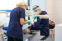Dr Tandartspraktijk Dentius Eilandje