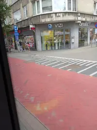Vizi