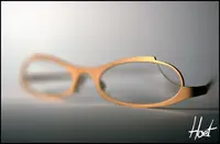 Hoet Optiek nv