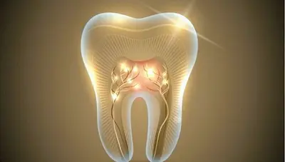 Dr Tandartspraktijk Luisa Dental