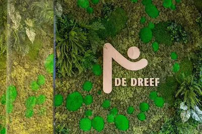 De Dreef Groepspraktijk