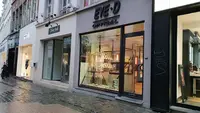 Eye D. Optical