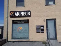 Akineos