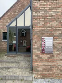 Kinebust