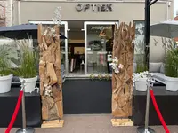 Optiek OOG en BLIK