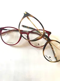 Brillenbus Mobiele Opticien