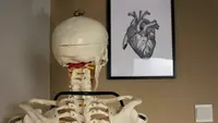 Kinesitherapie Rubben Ogez