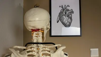Kinesitherapie Rubben Ogez