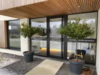 Kinesys