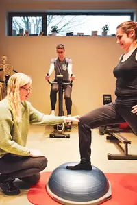 Kineflex