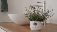 Kineriva | Riet Vandelanotte