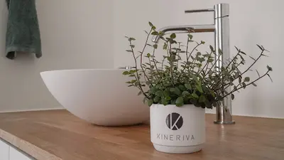 Kineriva | Riet Vandelanotte