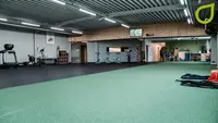Kine Schiervelde