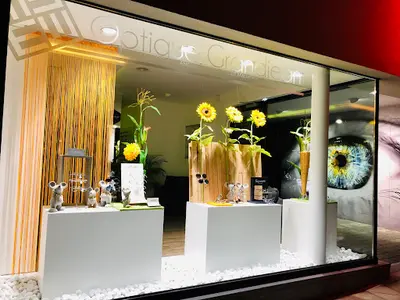 Opticien Optique Grandjean