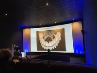 Dr Cristian Cadar