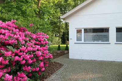 Kine Muyldermans - Kinesitherapie Praktijk