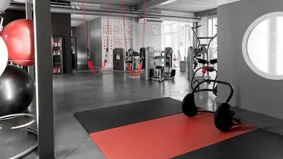 Kinesist Hans Minnen - Kinemotion