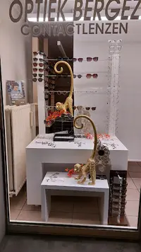 Optiek Bergez