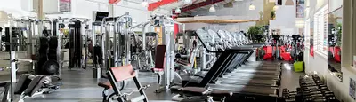 Alice Dehout Kinésithérapeute/ Physiotherapist